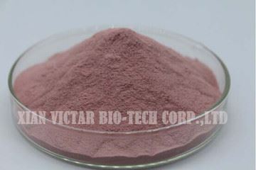 Pomegranate juice powder