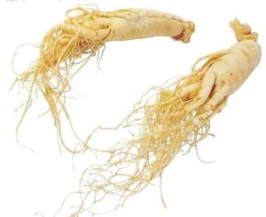 Detholiad Ginseng Americanaidd