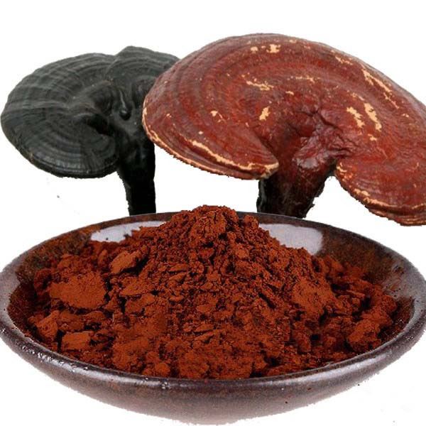 Powdwr Spore Ganoderma wedi'i dorri