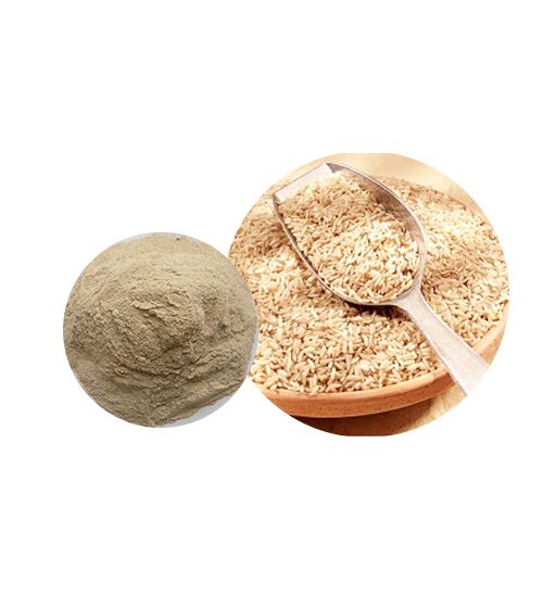 Protein Reis Brown Organig