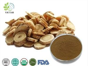 Echdynnu Gwraidd Astragalus