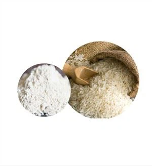 Protein Reis Organig
