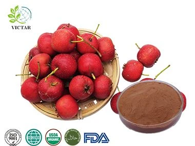 Detholiad Hawthorn Berry