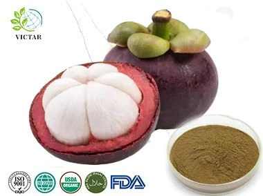 Detholiad Mangosteen