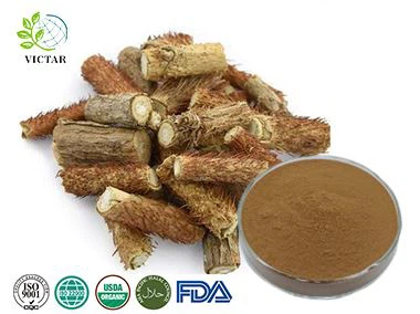 echdynnu ginseng Siberia