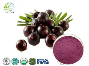 Powdwr Sudd Acai Berry
