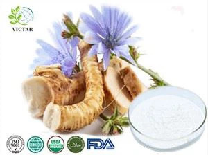 Powdr Inulin gwraidd sicori