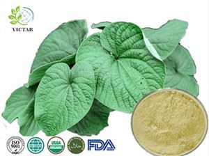 Detholiad Kava